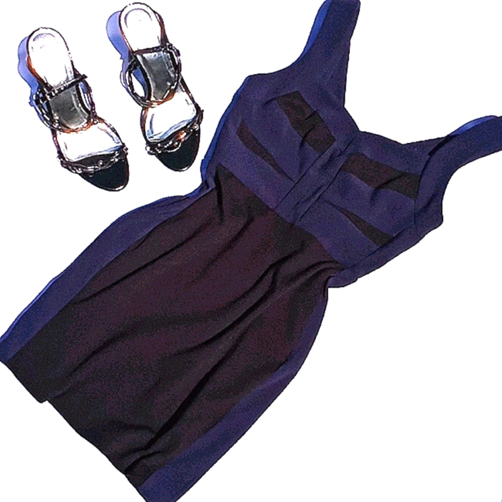 Bcbg Colorblock Dress